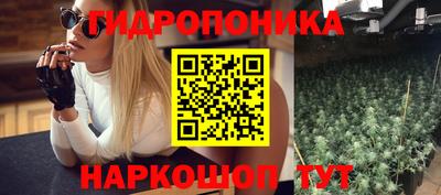 гидропоника Партизанск