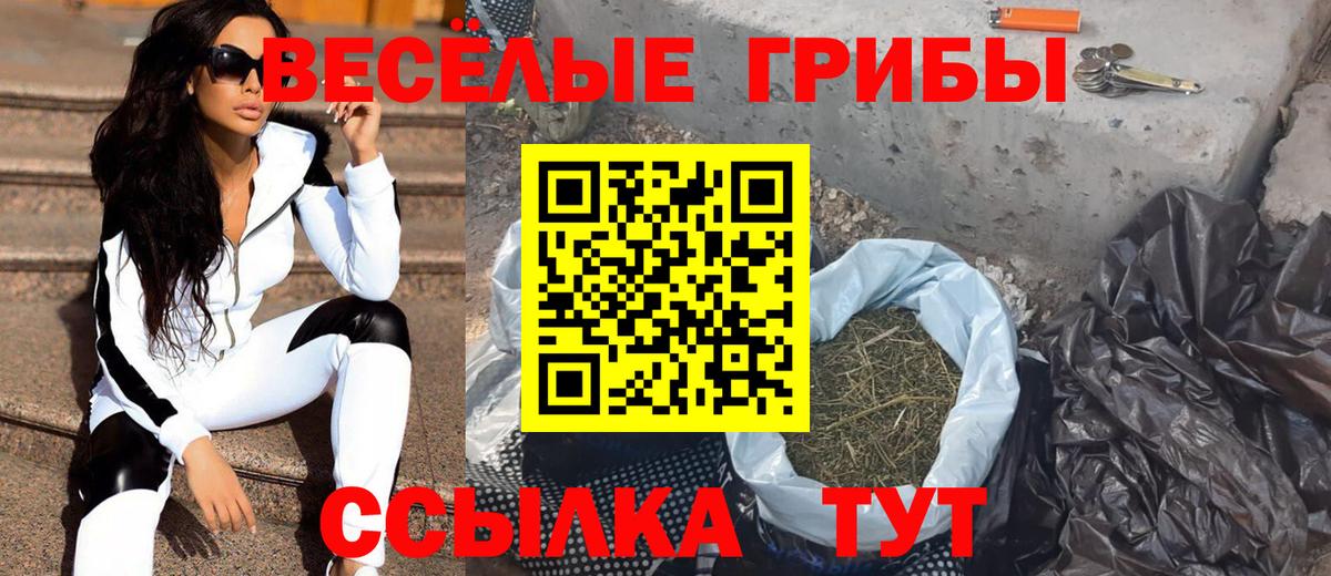 Галлюциногенные грибы Magic Shrooms  дарнет шоп  Серпухов  Вход с VPN 